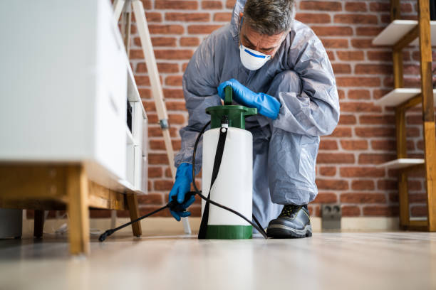 Best Pest Exclusion Services  in Cochran, GA